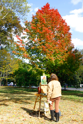Artist Maple Central Park
