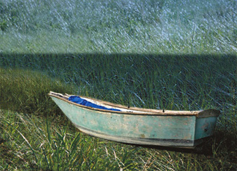 Grassy Boat